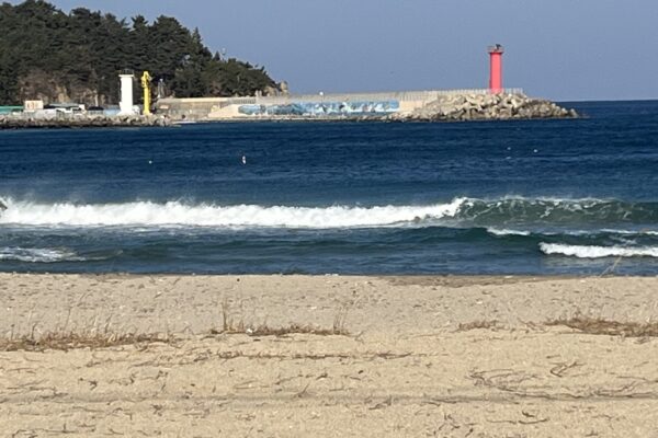 KakaoTalk_20260113_075753312_01