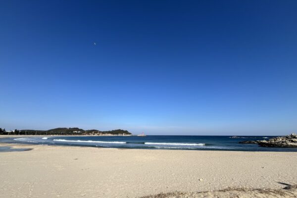 KakaoTalk_20260113_075753312_02